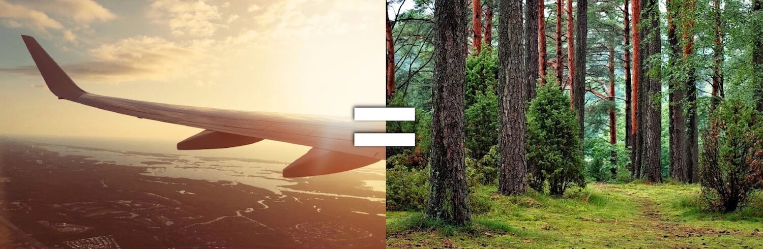 Offsetting the carbon (CO2) emissions of your flight with e.g. trees